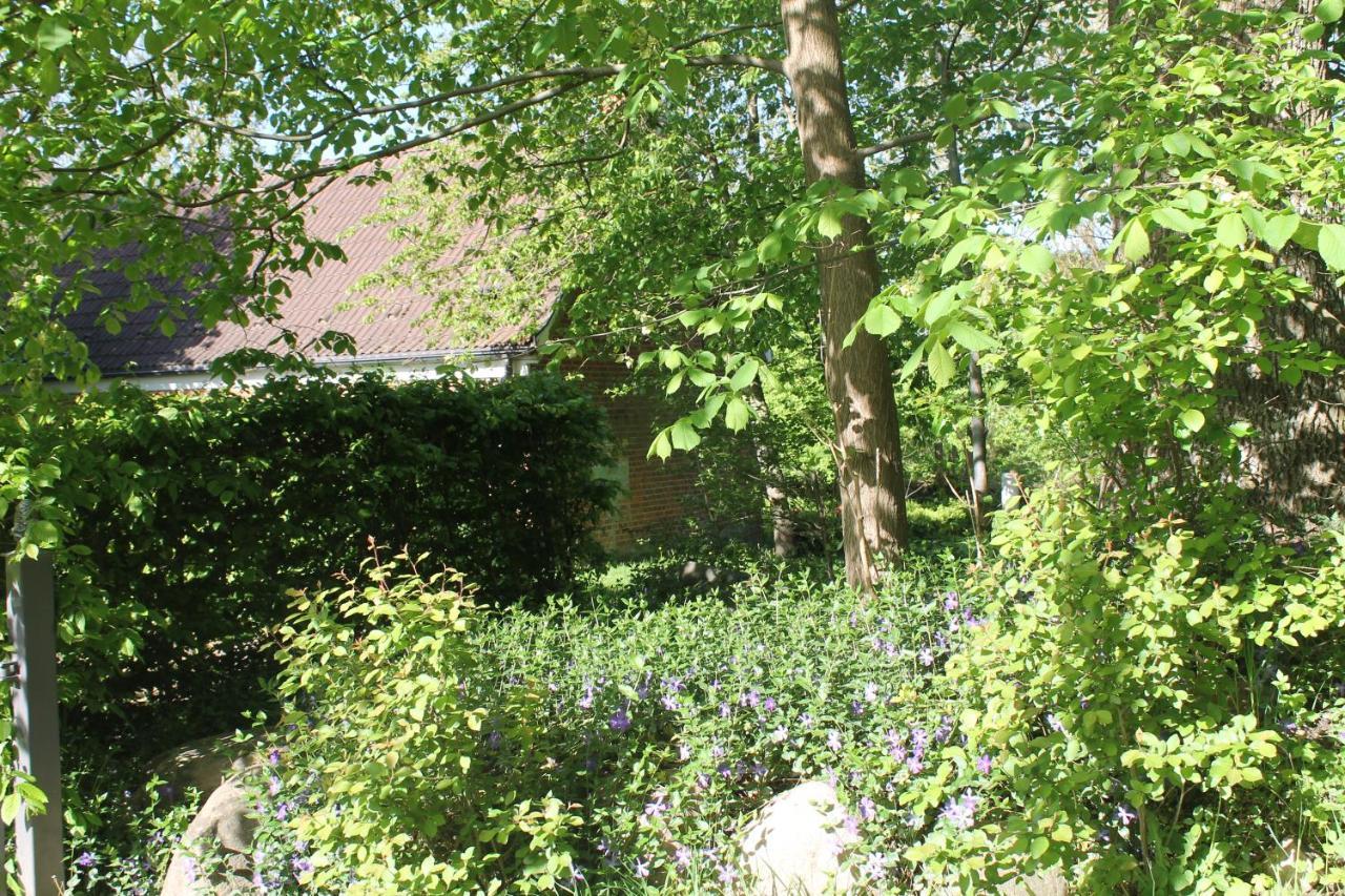 Apartament Altes Waschhaus Krakvitz Putbus Zewnętrze zdjęcie